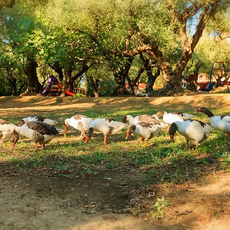 Park Alykes (Zakynthos)